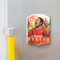 Fridge Magnet - Eusebio - close-up detail